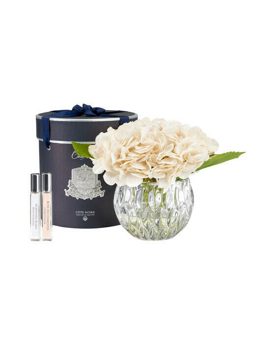 Côte Noire Hydrangeas -lahjasetti