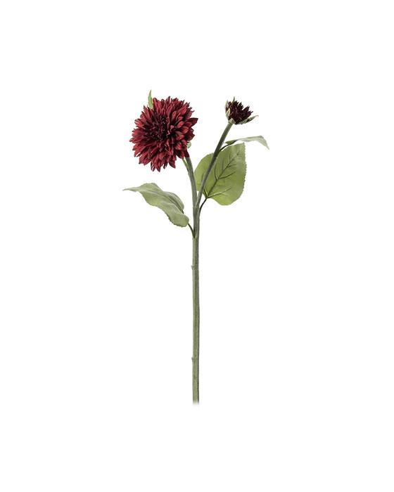 Solsikke snittblomst vinrød