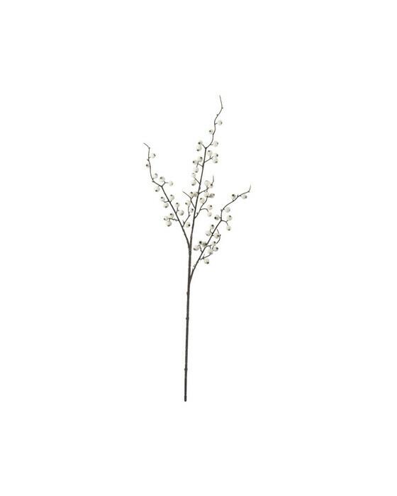 Bærkvist med is snittblomst hvit