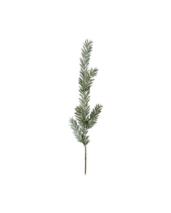 Kvist snittblomst grønn