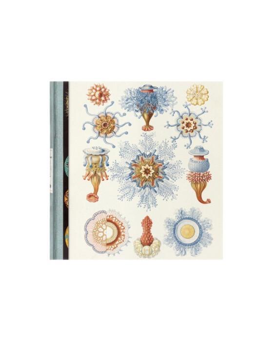 The Art and Science of Ernst Haeckel