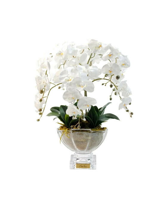 Côte Noire Orchidée Grandeur Gift Set