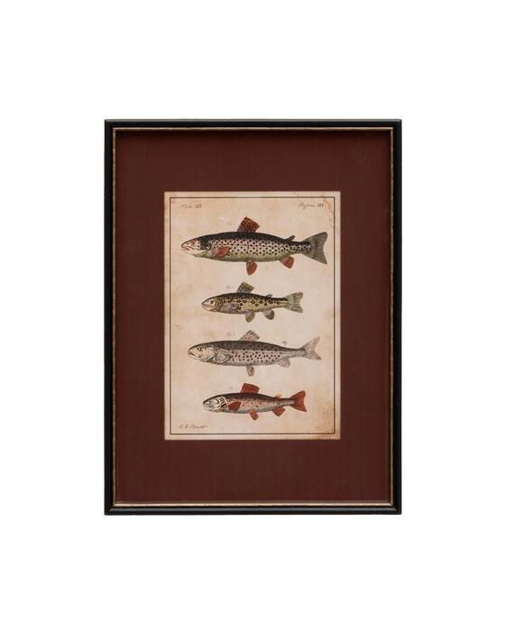 Chehoma Linden art print, fish