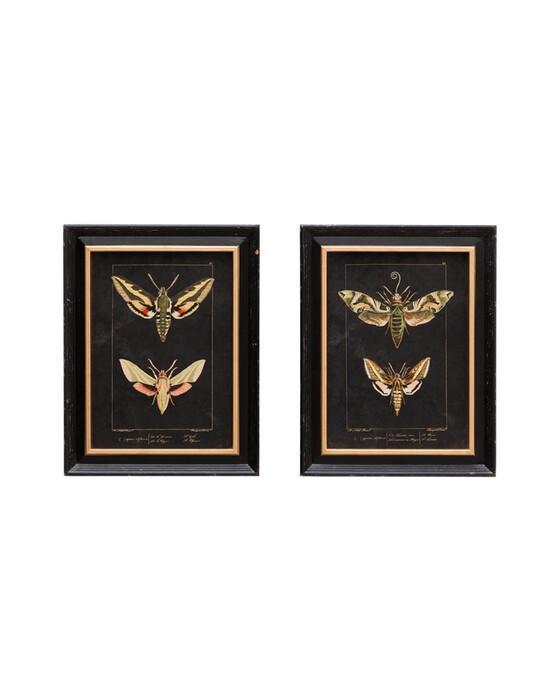 Chehoma Ramsey butterfly art prints 2-pack